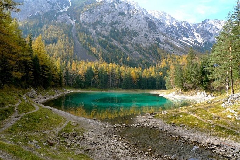 gurner see